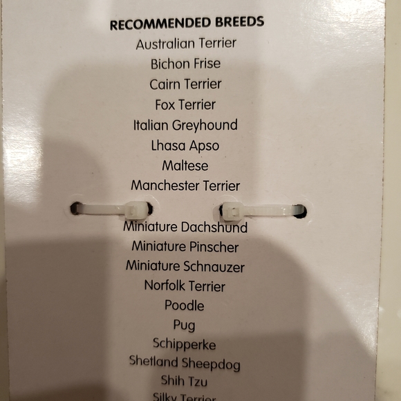 💗SOLD💗Small Dog Collar Set - Picture 4 of 5